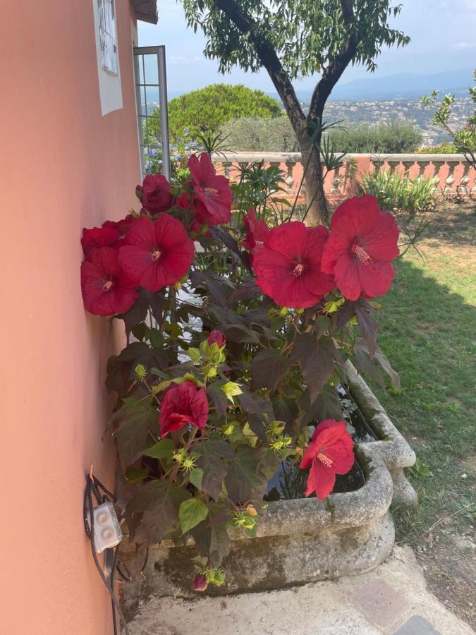 Chambre D'Hotes A L'Ancre Marine De La Villa Rose Nisa Exterior foto